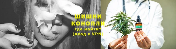 гидропоника Ладушкин