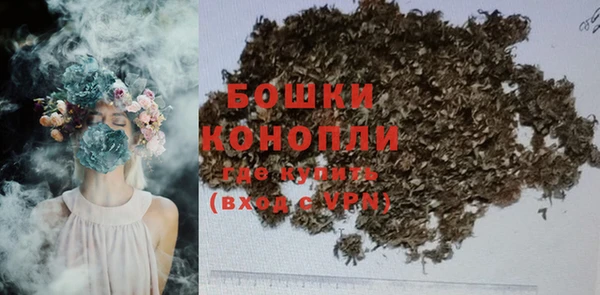 шишки Лиски
