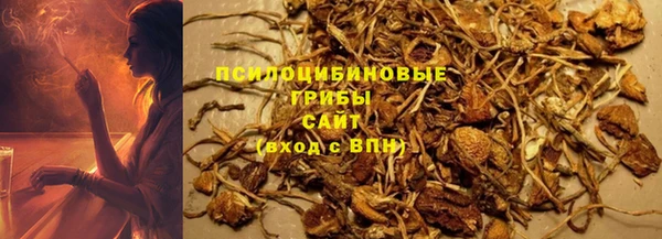 гидропоника Ладушкин