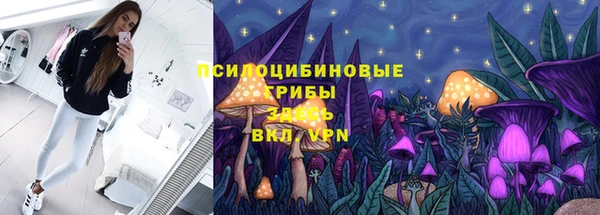 MDMA Лагань
