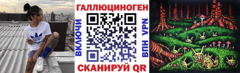Купить закладки  Островной  Галлюциногенные грибы Psilocybine cubensis 